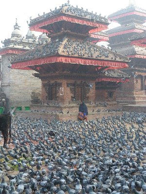 Nepal 2011-2012 Jiri-Everest 354.JPG